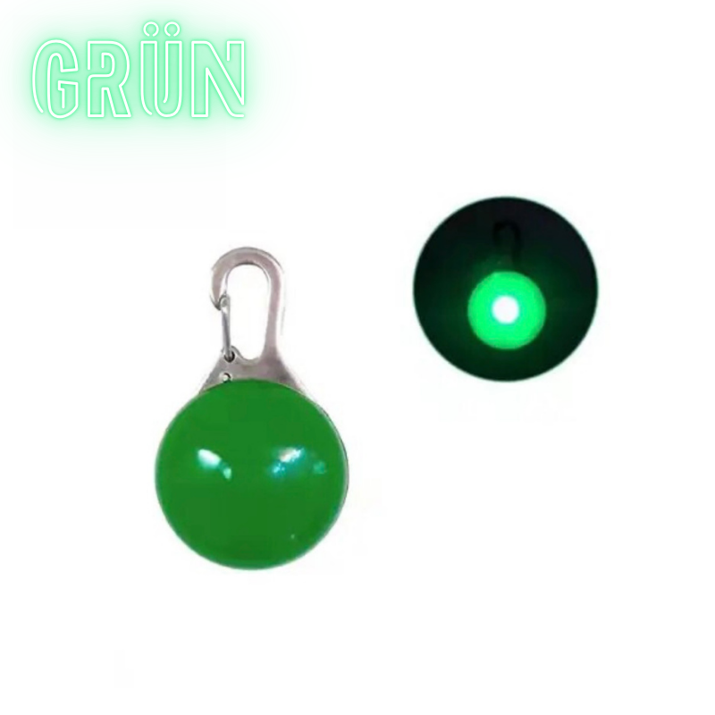 LED-Hundeanhänger