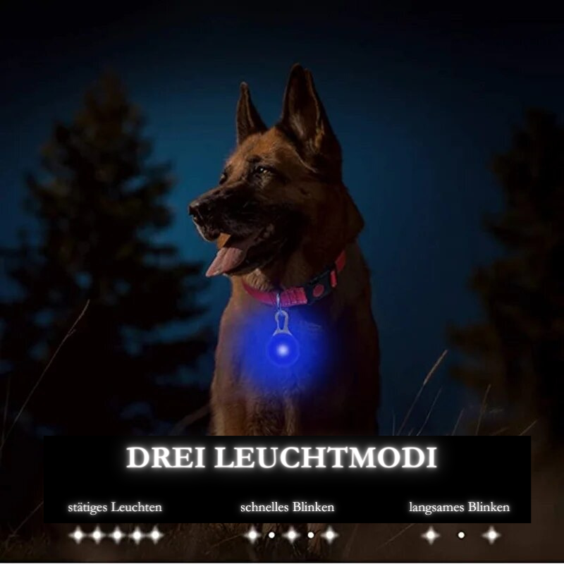 LED-Hundeanhänger