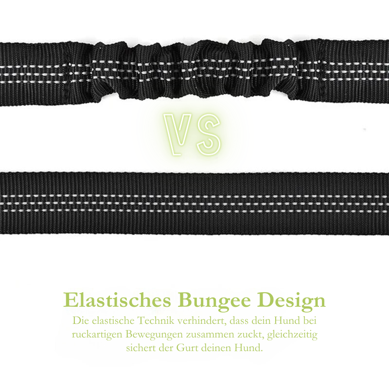 Sicherheitsgurt für Haustiere - Elastischer Autoanschnallgurt mit Bungee-Puffer"