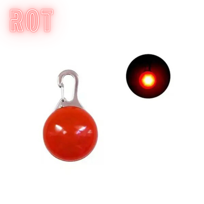 LED-Hundeanhänger