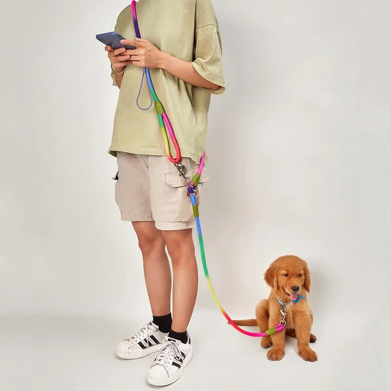 Bunte Sicherheitsleine für Hunde: Reflektierend und Superstark für sichere Spaziergänge