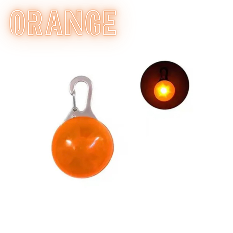 LED-Hundeanhänger