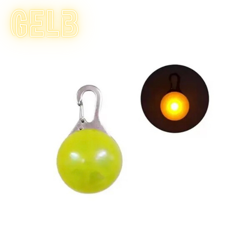 LED-Hundeanhänger