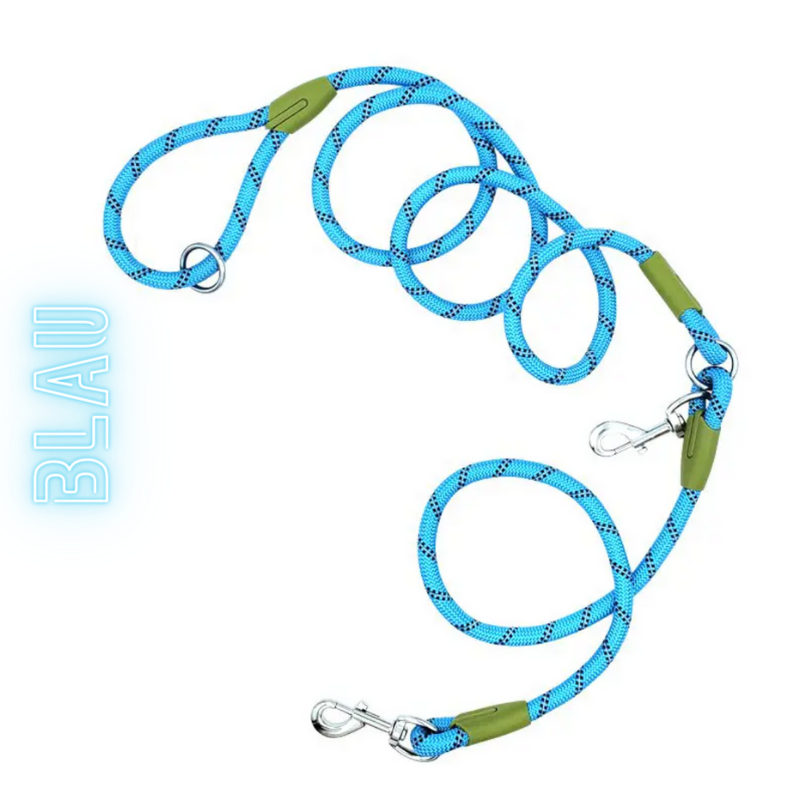 Bunte Sicherheitsleine für Hunde: Reflektierend und Superstark für sichere Spaziergänge