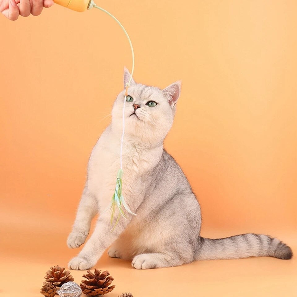 Elektronisches Katzenspielzeug