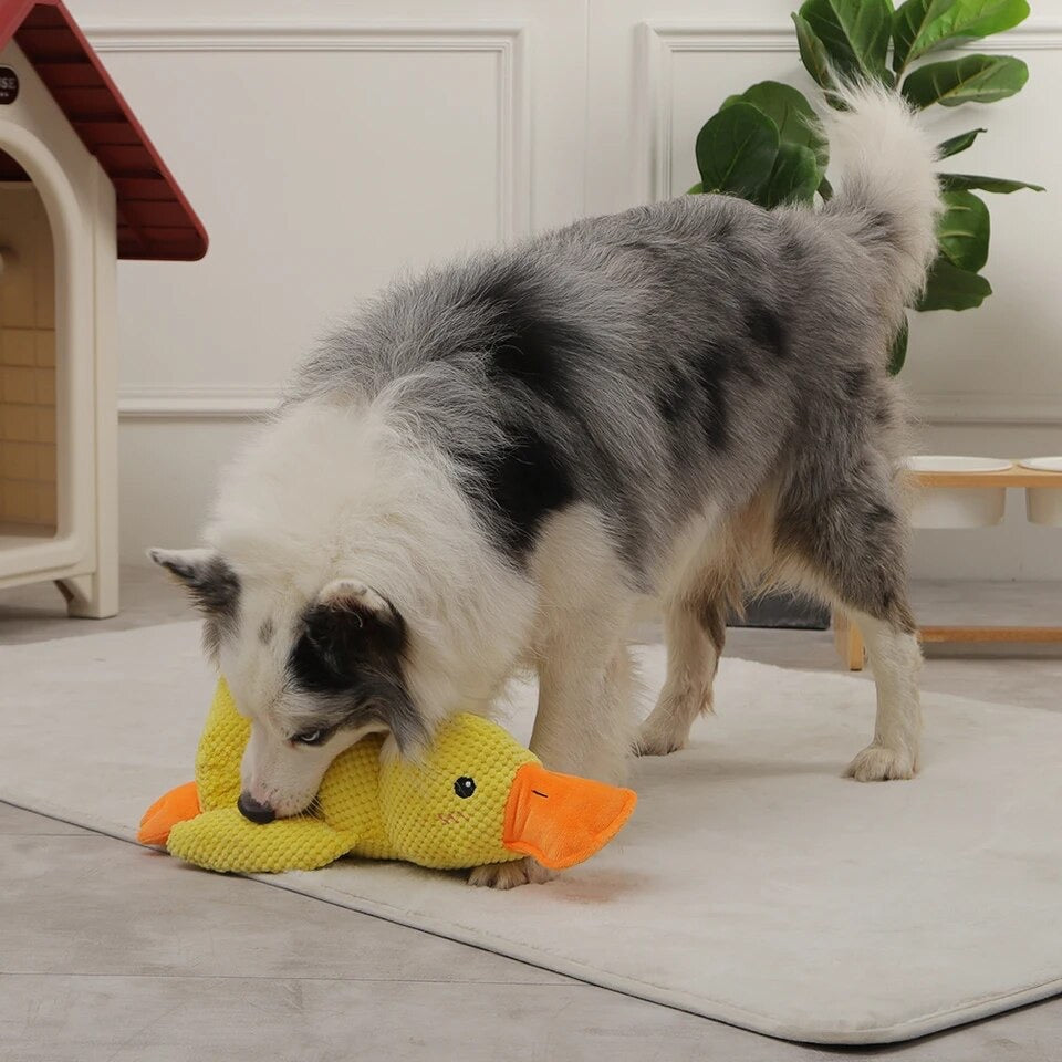 Buntes Kauspielzeug "Fröhliche Entenbande für Hunde"
