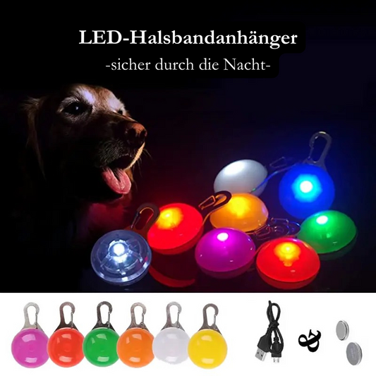 LED-Hundeanhänger