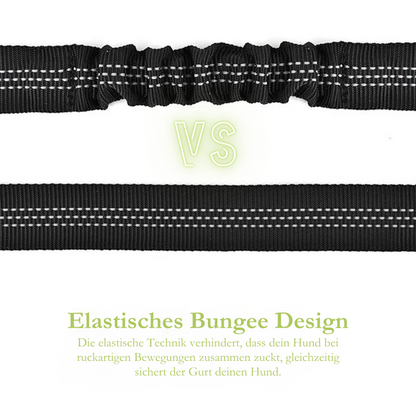 Sicherheitsgurt für Haustiere - Elastischer Autoanschnallgurt mit Bungee-Puffer"