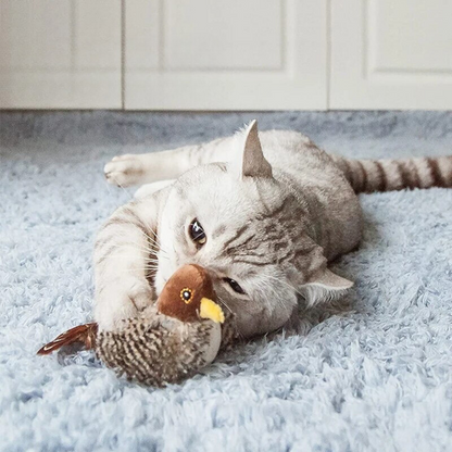 Interaktive Katzenspielzeuge