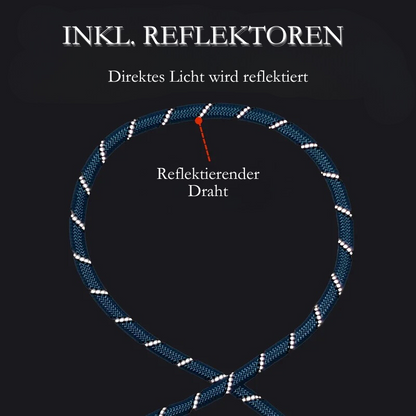 Bunte Sicherheitsleine für Hunde: Reflektierend und Superstark für sichere Spaziergänge