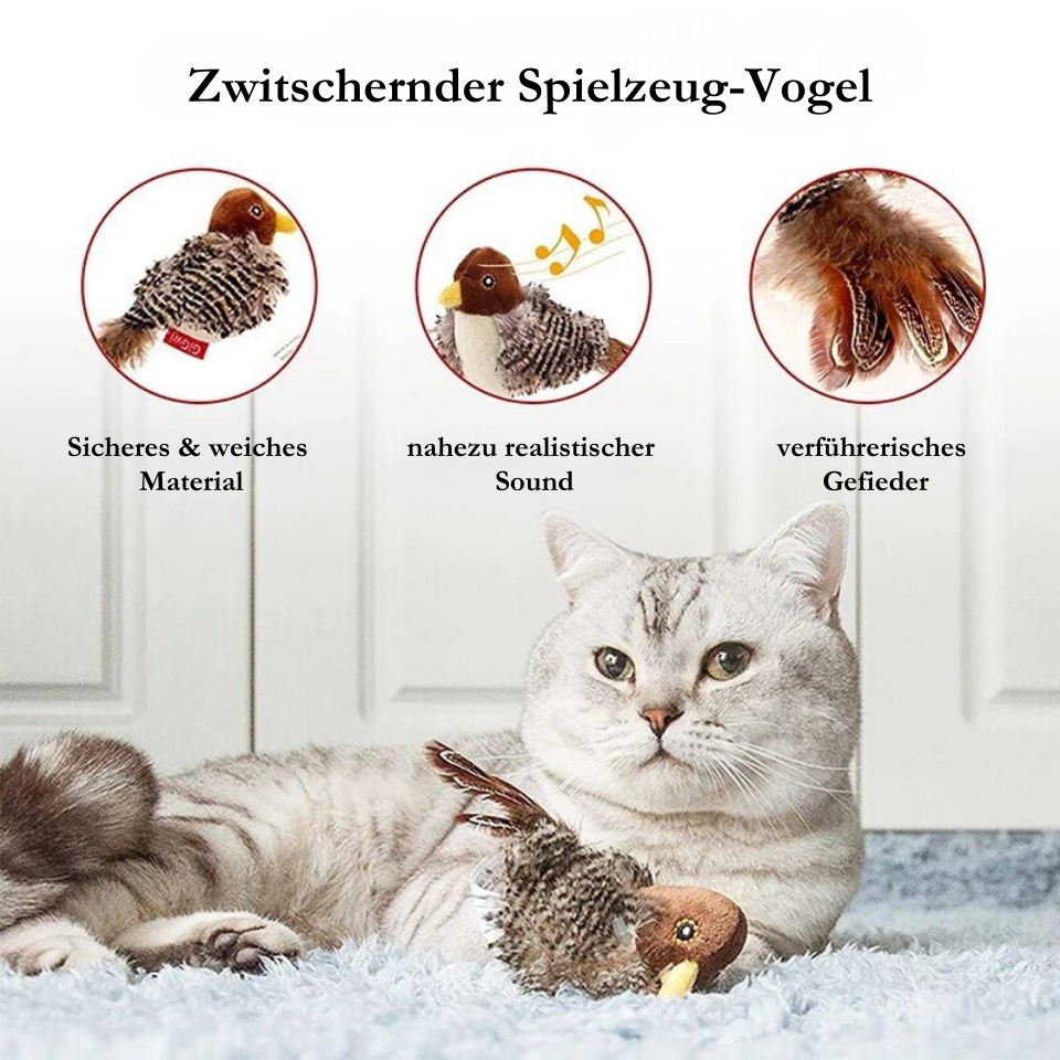 Interaktive Katzenspielzeuge