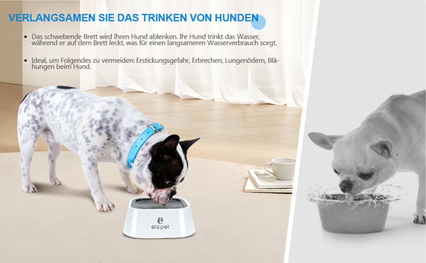 Anti-Überlauf Wassernapf