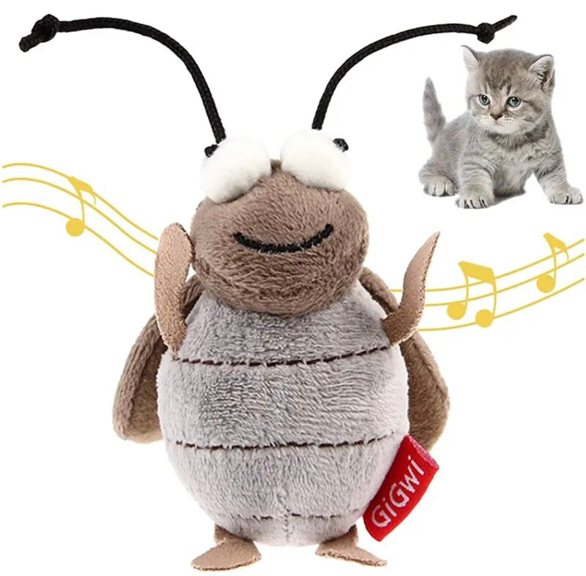Interaktive Katzenspielzeuge