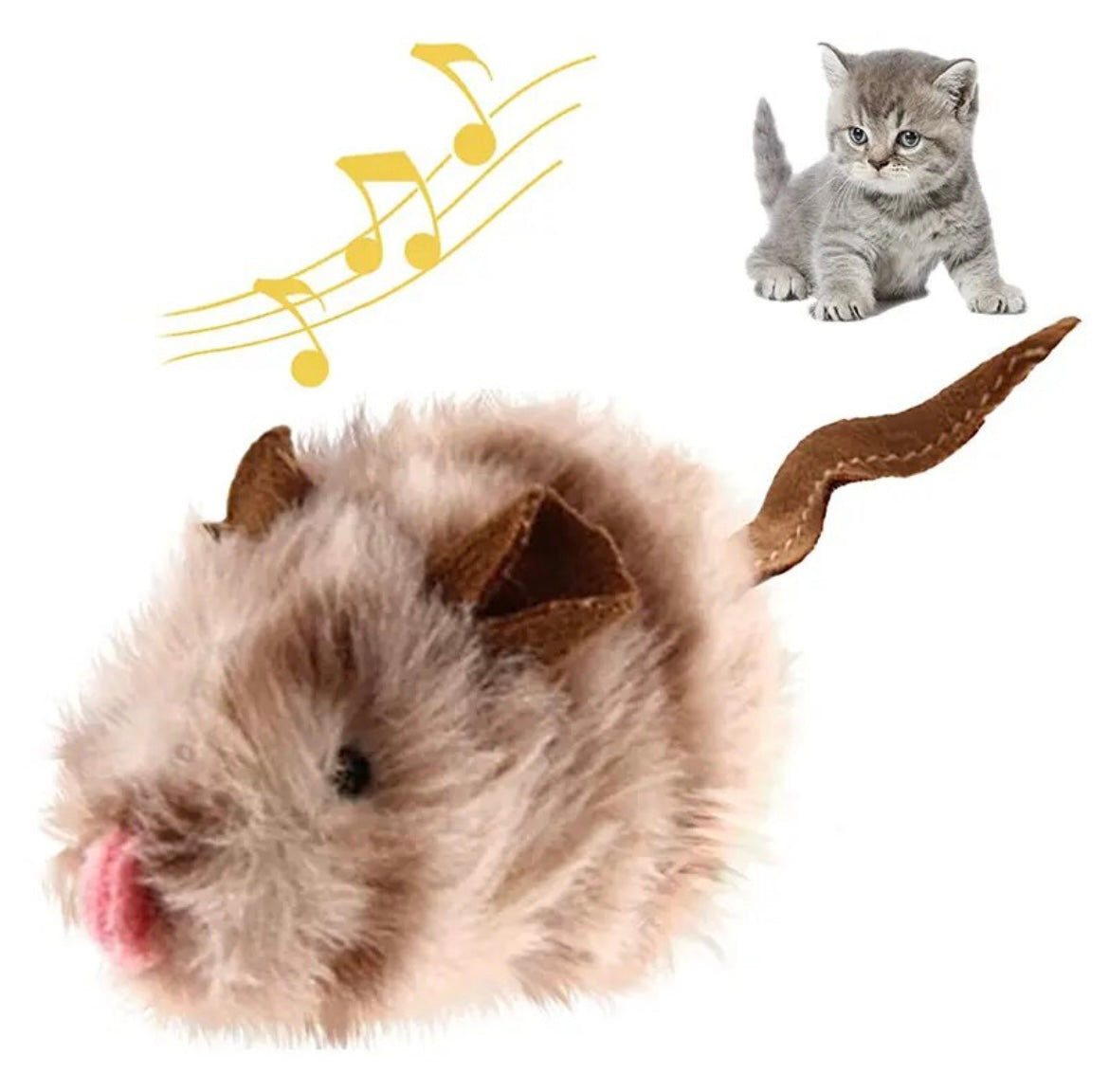 Interaktive Katzenspielzeuge