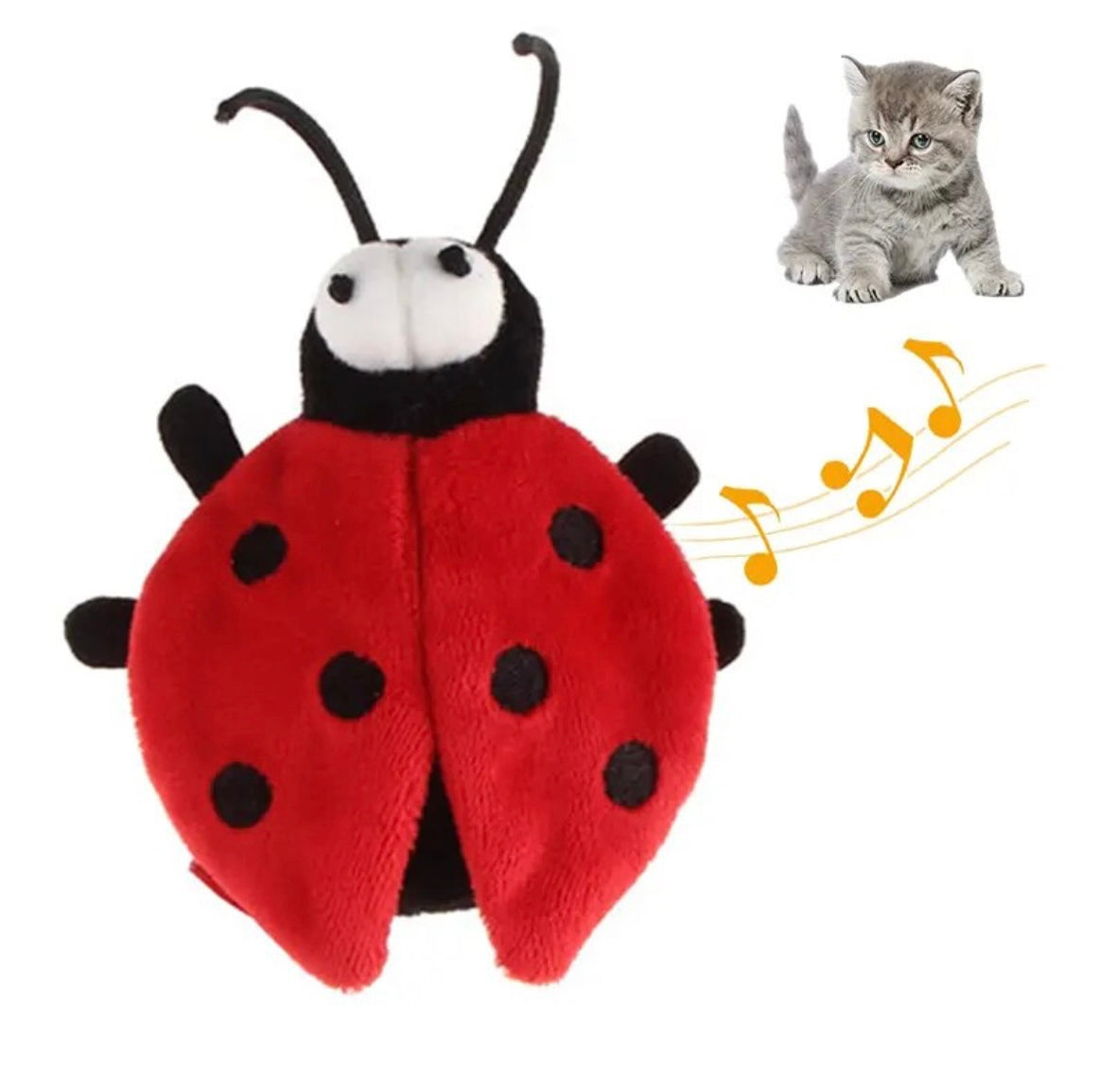 Interaktive Katzenspielzeuge