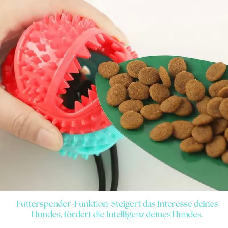 "Interaktives Hundespielzeug mit Saugnapf und Kaukugel für aktives Kauspiel"